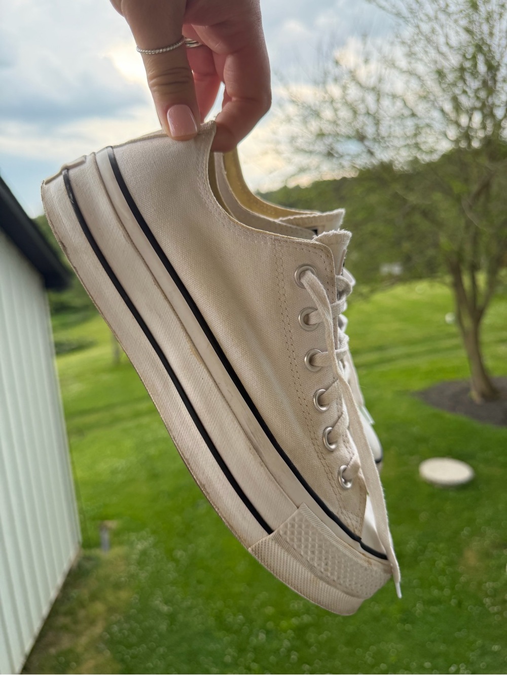 Converse Low-Top Canvas Sneakers in Cream with Black Accents